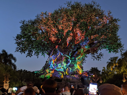 Pet Store «Animal Kingdom», reviews and photos, 436 Main St, East Orange, NJ 07018, USA