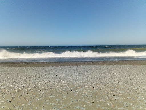 Event Venue «Curry County Fairgrounds», reviews and photos, 29392 Ellensburg Ave, Gold Beach, OR 97444, USA