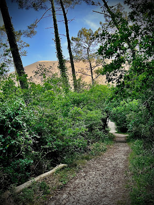 Photos des visiteurs Bed & breakfast Cochezin 33115 La Teste-de-Buch