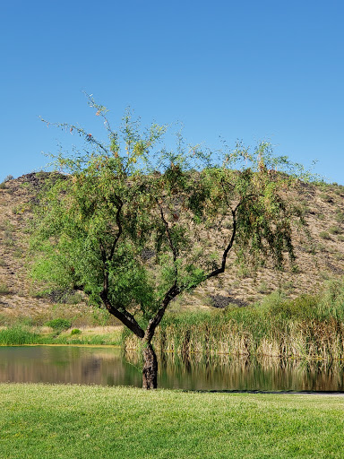 The 500 Golf Club at Adobe Dam Regional Park