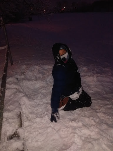 Park «Dutch Broadway Park», reviews and photos, 2161 Dutch Broadway, Elmont, NY 11003, USA