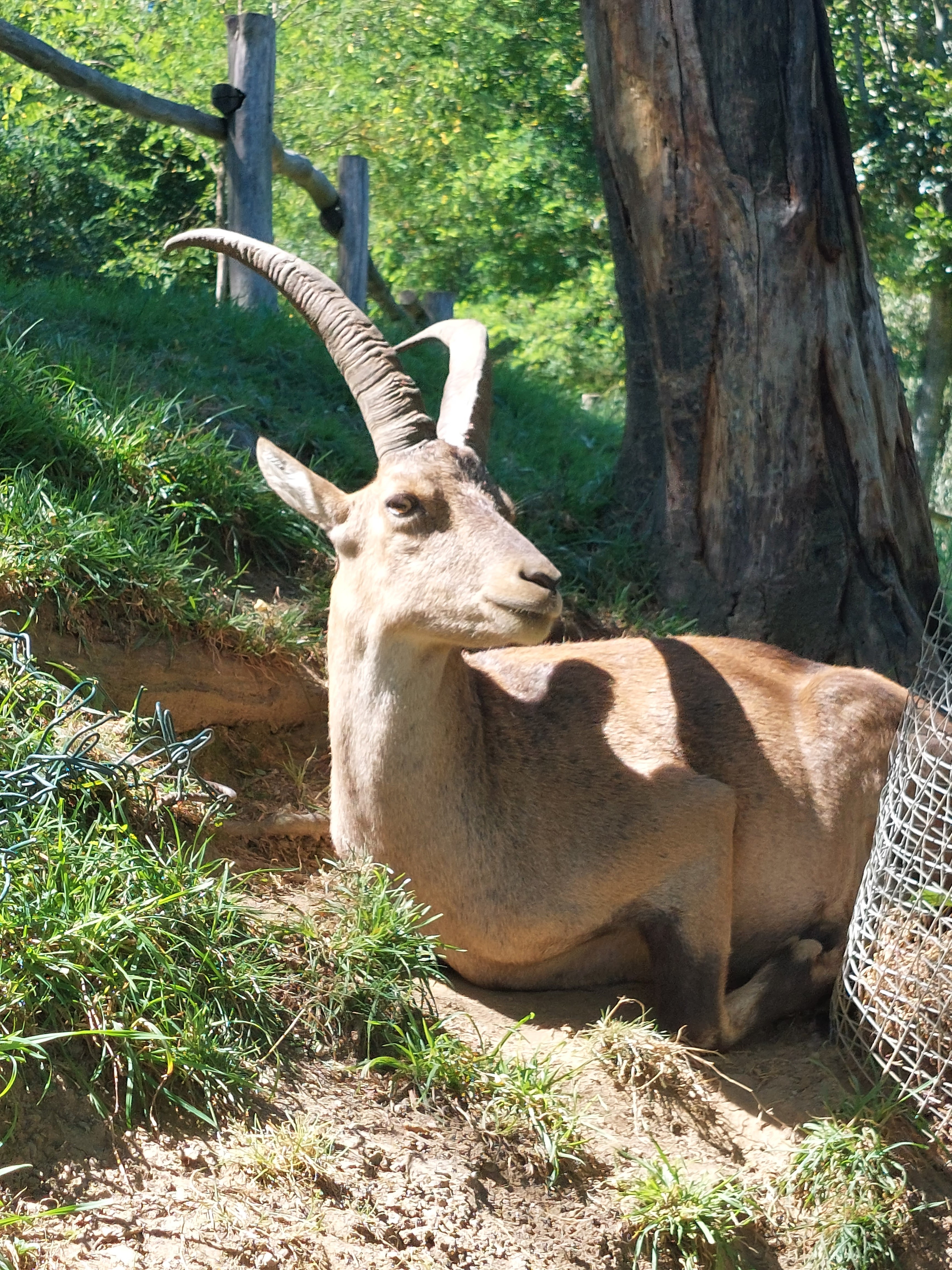 Photo n° 1 de l'avis de Tof.6 fait le 09/08/2023 à 12:26