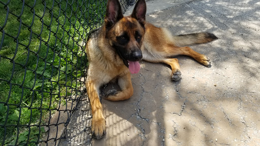 Dog Park «Portage Dog Friendly Area», reviews and photos, 4100 N Long Ave, Chicago, IL 60641, USA