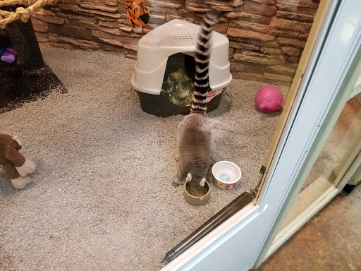 Pet Store «Incredible Pets Inc», reviews and photos, 2255 N Wickham Rd # 102, Melbourne, FL 32935, USA