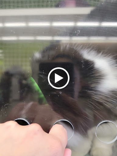 Pet Supply Store «Petco Animal Supplies», reviews and photos, 11147 Park Blvd N, Seminole, FL 33772, USA