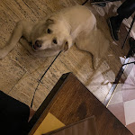 Photo n°1 de l'avis de Arianna.a fait le 30/06/2023 à 19:33 sur le  Ristorante Pizzeria Ante Omnia à Lecco