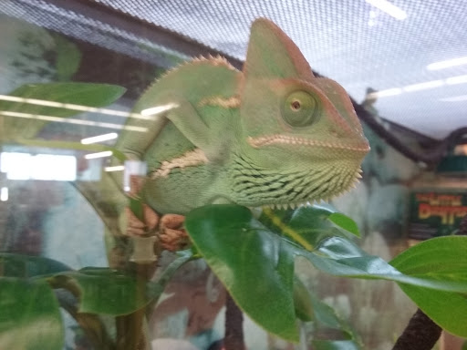 Pet Supply Store «Petco Animal Supplies», reviews and photos, 1622 Clark Street Rd, Auburn, NY 13021, USA