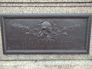 Washington Elm - photo 3