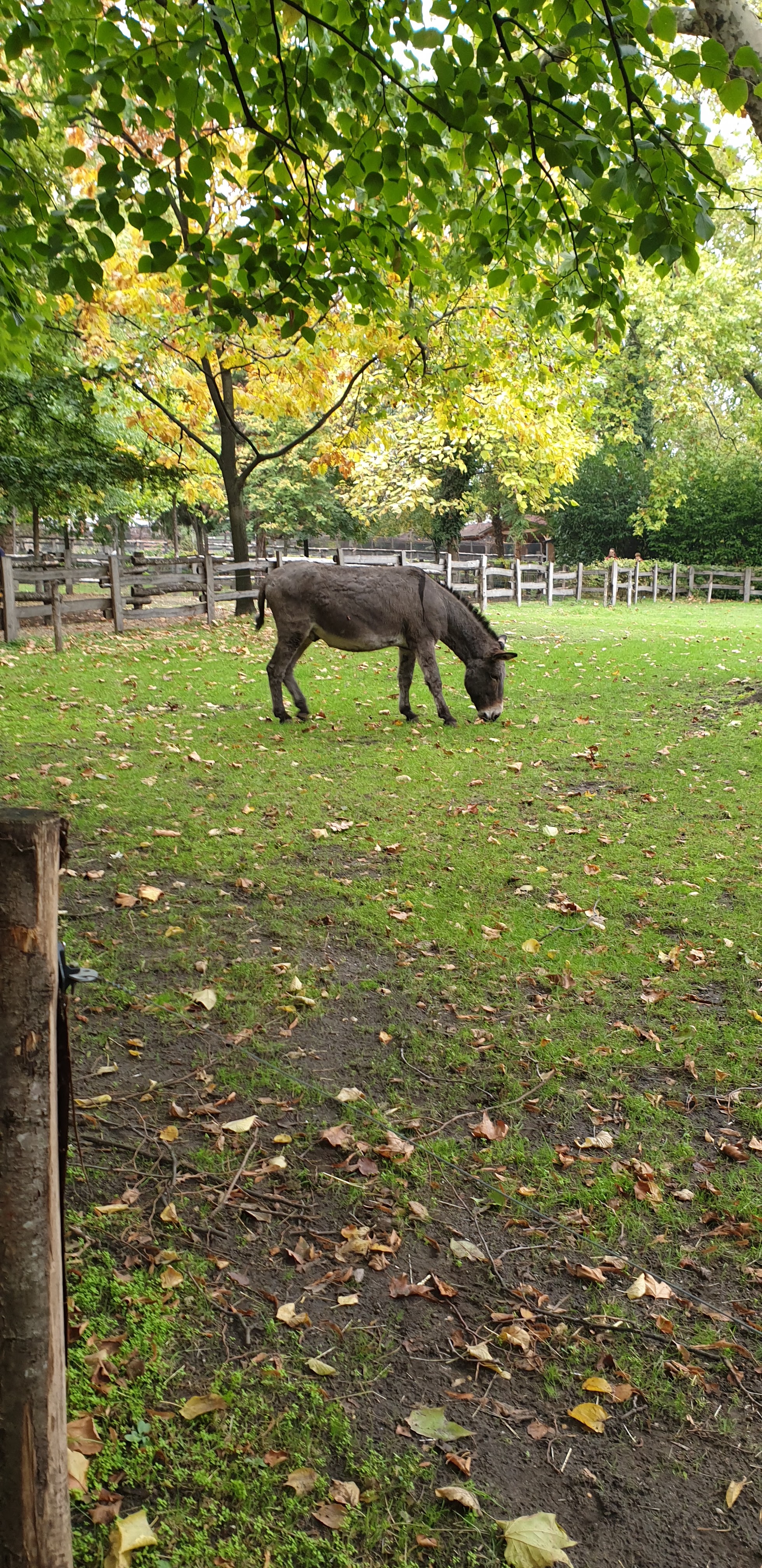 Photo n° 30 de l'avis de Julien.' fait le 23/10/2019 à 14:35