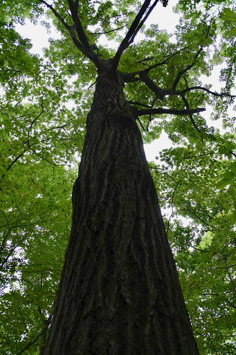 Nature Preserve «Flat Rock Brook Nature Center», reviews and photos, 443 Van Nostrand Ave, Englewood, NJ 07631, USA