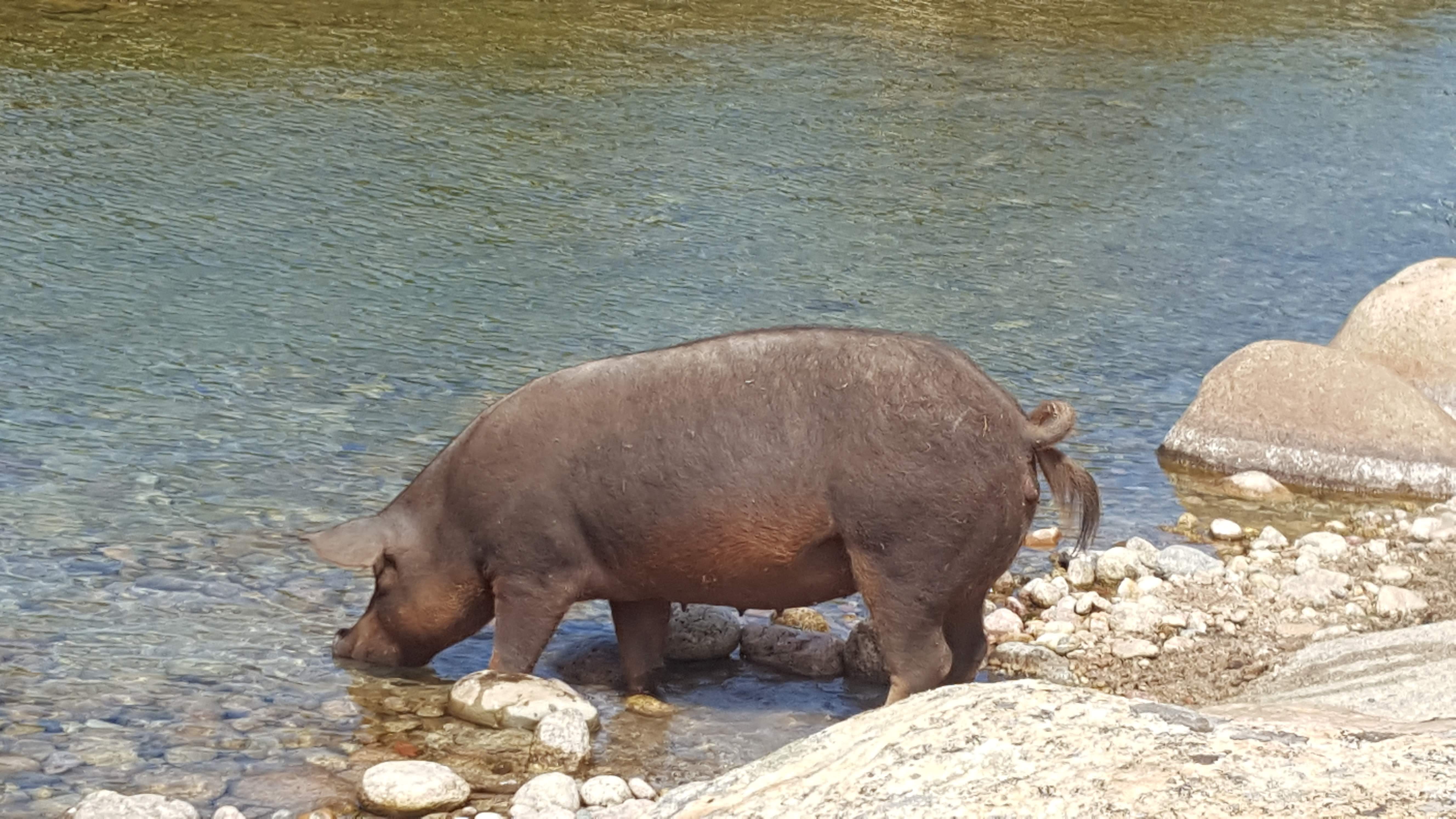 Photo n° 9 de l'avis de Anna.e fait le 20/08/2019 à 20:46