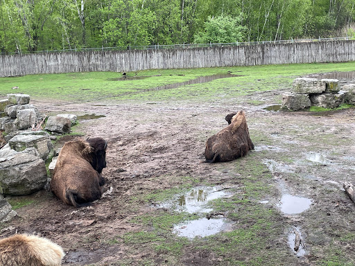 Zoo «NEW Zoo & Adventure Park», reviews and photos, 4378 Reforestation Rd, Green Bay, WI 54313, USA