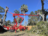 Top Shelf Tree Service & Landscaping - Photo 3 - Car repair in , Tampa