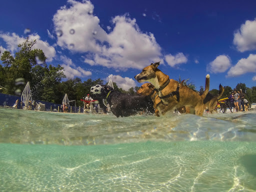 Park «Bull Run Regional Park», reviews and photos, 7700 Bull Run Dr, Centreville, VA 20121, USA