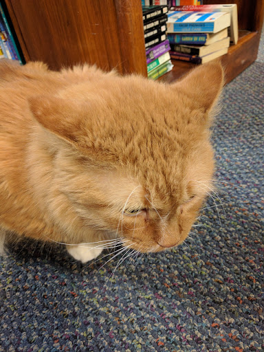 Used Book Store «Commonwealth Books», reviews and photos, 9 Spring Ln, Boston, MA 02109, USA