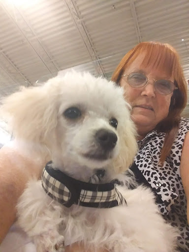 Pet Supply Store «PetSmart», reviews and photos, 2929 James Sanders Blvd f, Paducah, KY 42001, USA