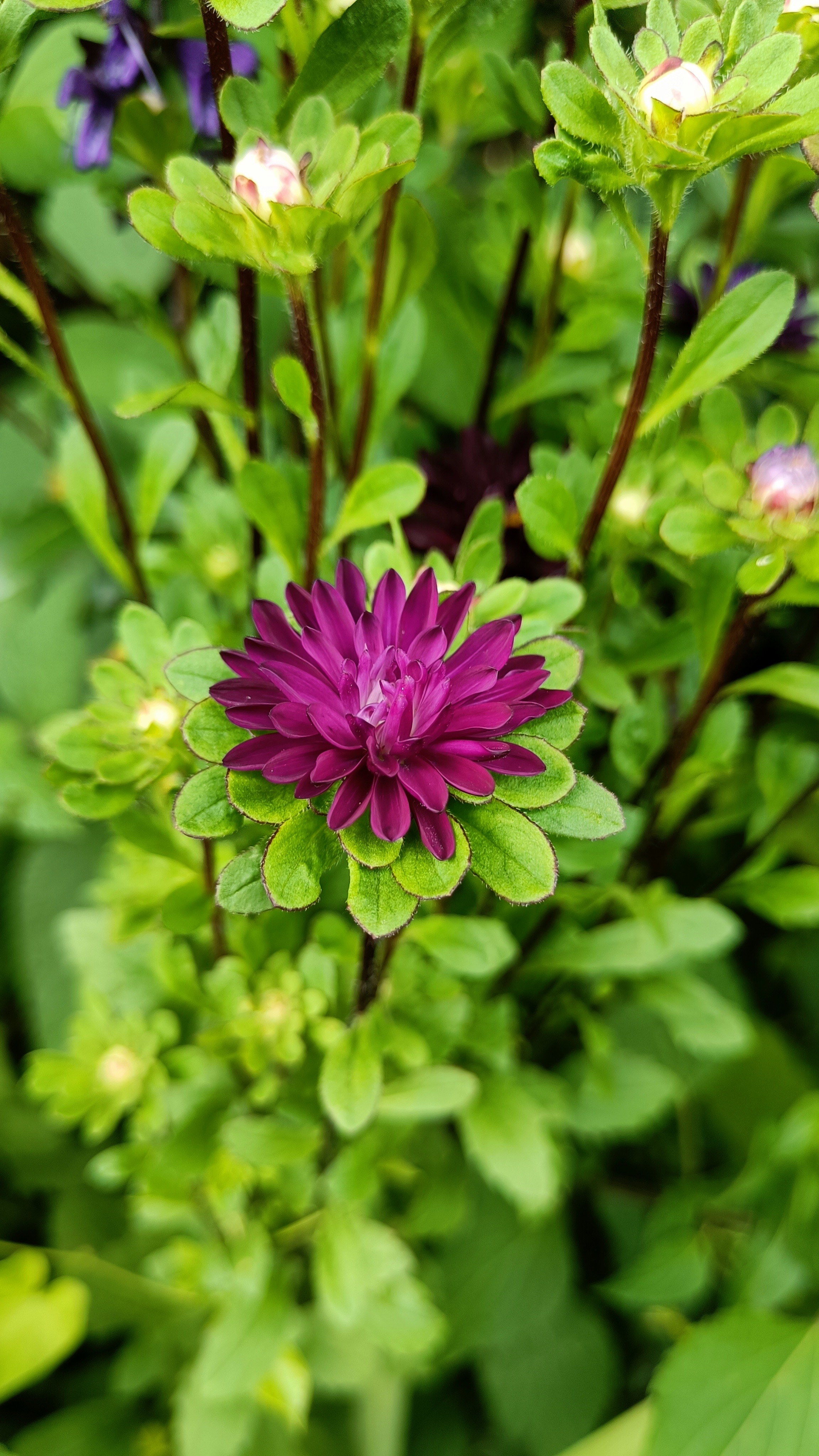 Photo n° 20 de l'avis de Eliot.o fait le 28/07/2023 à 16:35