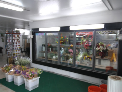 Florist «JJ Flowers Inc.», reviews and photos, 1580 W 35th Pl, Hialeah, FL 33012, USA