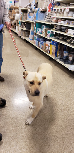 Pet Supply Store «PetSmart», reviews and photos, 3370 Shoppers Dr, McHenry, IL 60050, USA