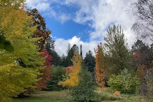 Finch Arboretum Woodland Center image