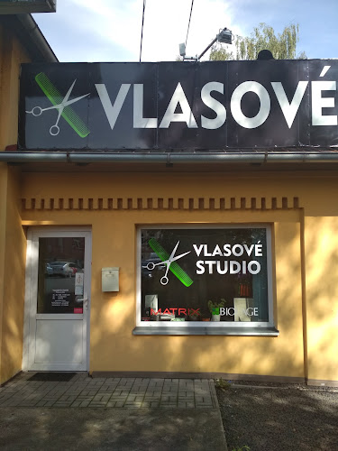 Vlasove studio - Karlovy Vary