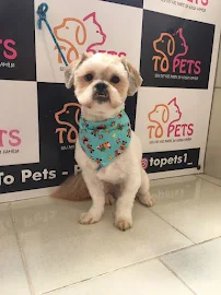 To Pets - Pet Shop - Car repair in São Paulo - State of São Paulo, Brazil, Aguadilla - Rated 4.6/5