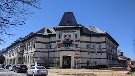 Universitatea Constantin Brâncuși