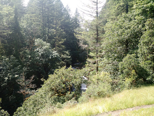 American Football Field «Doc Harris Stadium», reviews and photos, 1125 NE 22nd Ave, Camas, WA 98607, USA