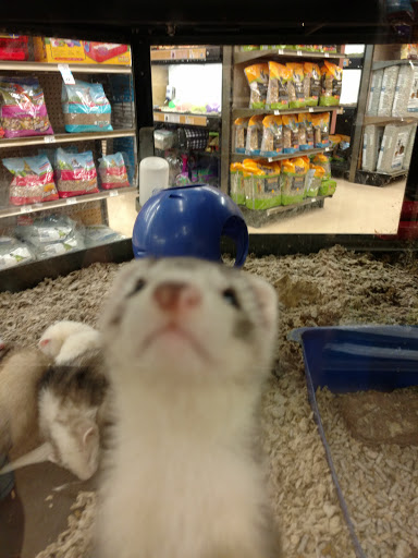 Pet Supply Store «Petco Animal Supplies», reviews and photos, 2095 N Harris Blvd, Layton, UT 84041, USA