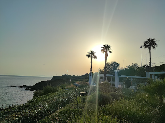 Σχόλια και κριτικές για το Ktima 48