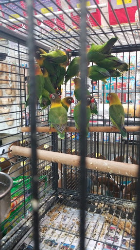 Animal Feed Store «Farmers Feed & Pet Supply», reviews and photos, 1302 E Miner Ave, Stockton, CA 95205, USA