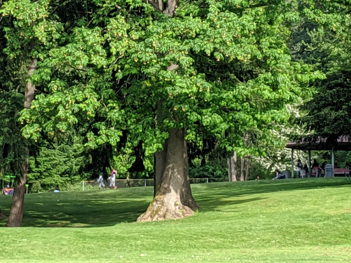 Park «Thomas Teasdale Park», reviews and photos, 601 S 23rd St, Renton, WA 98055, USA