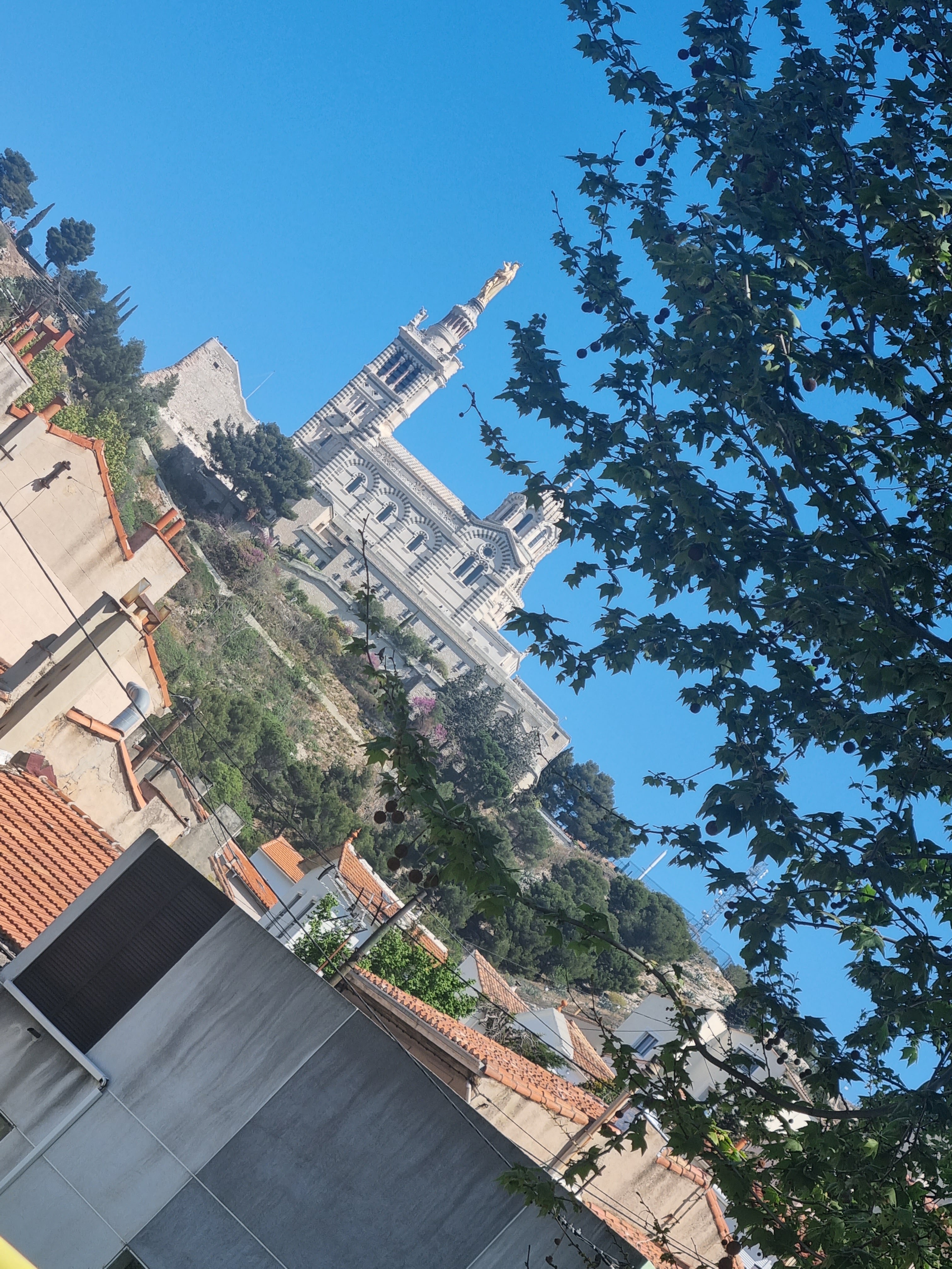 Photo n° 1 de l'avis de aude.a fait le 29/04/2023 à 10:29