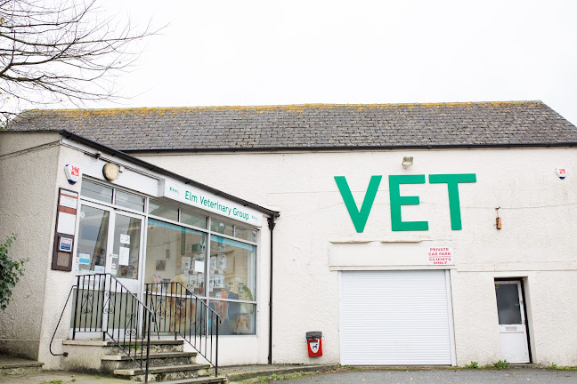 Elm Veterinary Group - Plymouth