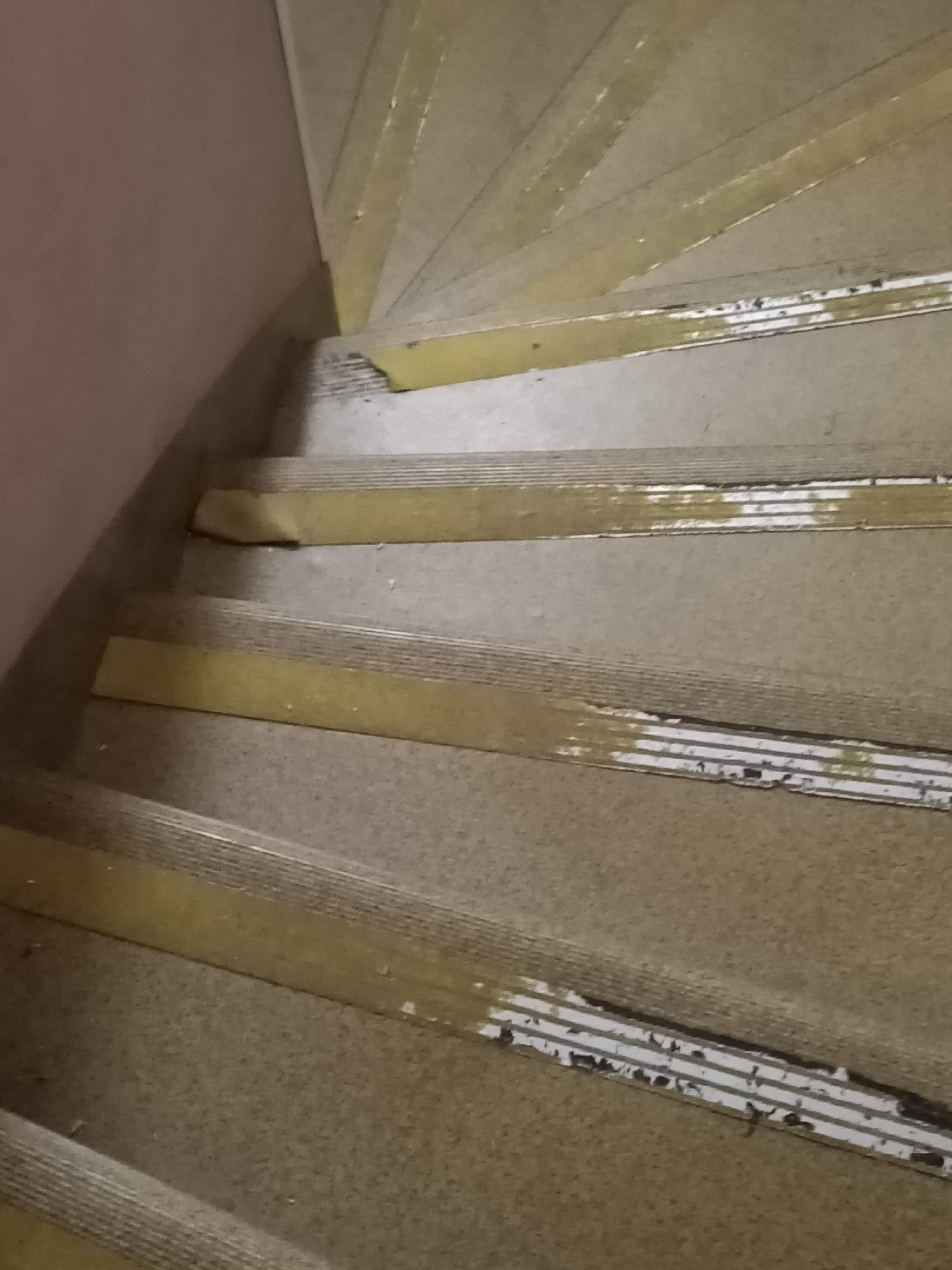 Photo n° 1 de l'avis de pateux.a fait le 15/08/2022 à 19:37