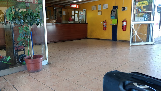 Opiniones de Terminal De Buses Pullman Del Sur en Curicó - Servicio de transporte