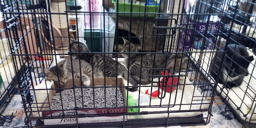 Pet Supply Store «Pet Valu», reviews and photos, 411 Valley Brook Ave, Lyndhurst, NJ 07071, USA