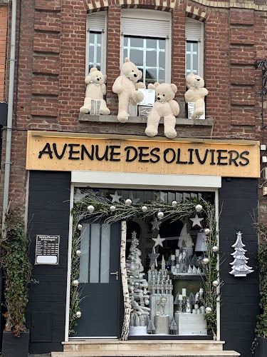 Magasin Avenue des Oliviers Fleurs & Décorations Vitry-en-Artois
