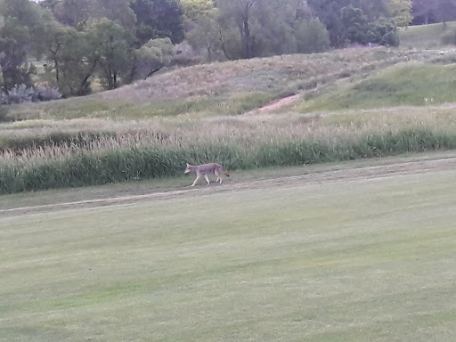 Golf Course «Patty Jewett Municipal Golf Course», reviews and photos, 900 E Espanola St, Colorado Springs, CO 80907, USA