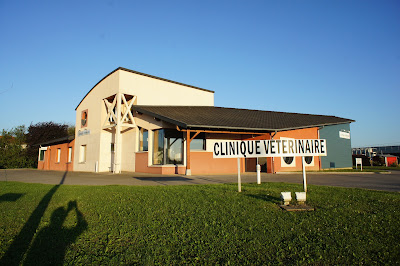 Optivet Pont De Vaux à Saint-Bénigne