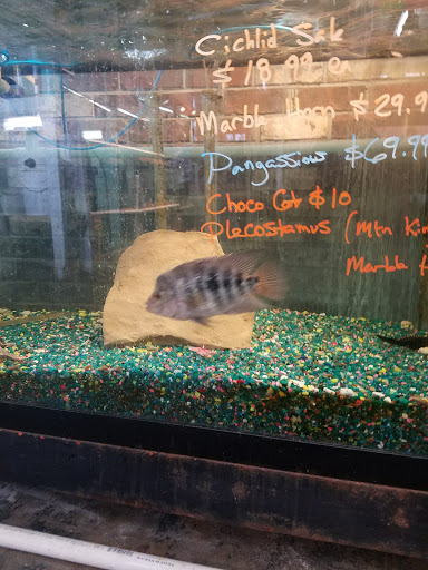 Pet Store «A to Z Pets», reviews and photos, 16010 SE Division St, Portland, OR 97236, USA