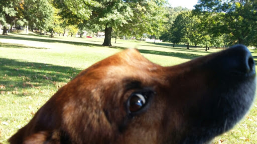 Performing Arts Group «Lincoln Park Performing Arts Center», reviews and photos