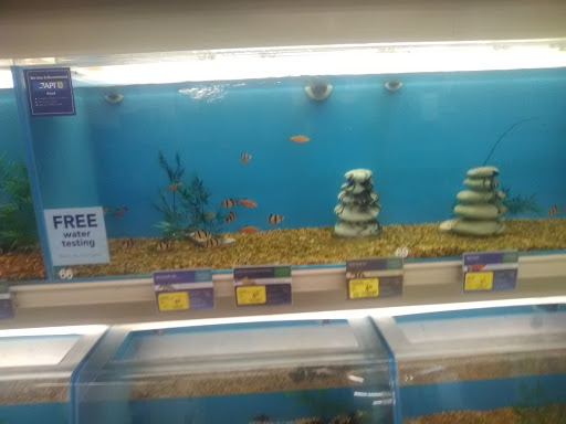 Pet Supply Store «PetSmart», reviews and photos, 21 Trader Ln, Williston, VT 05495, USA