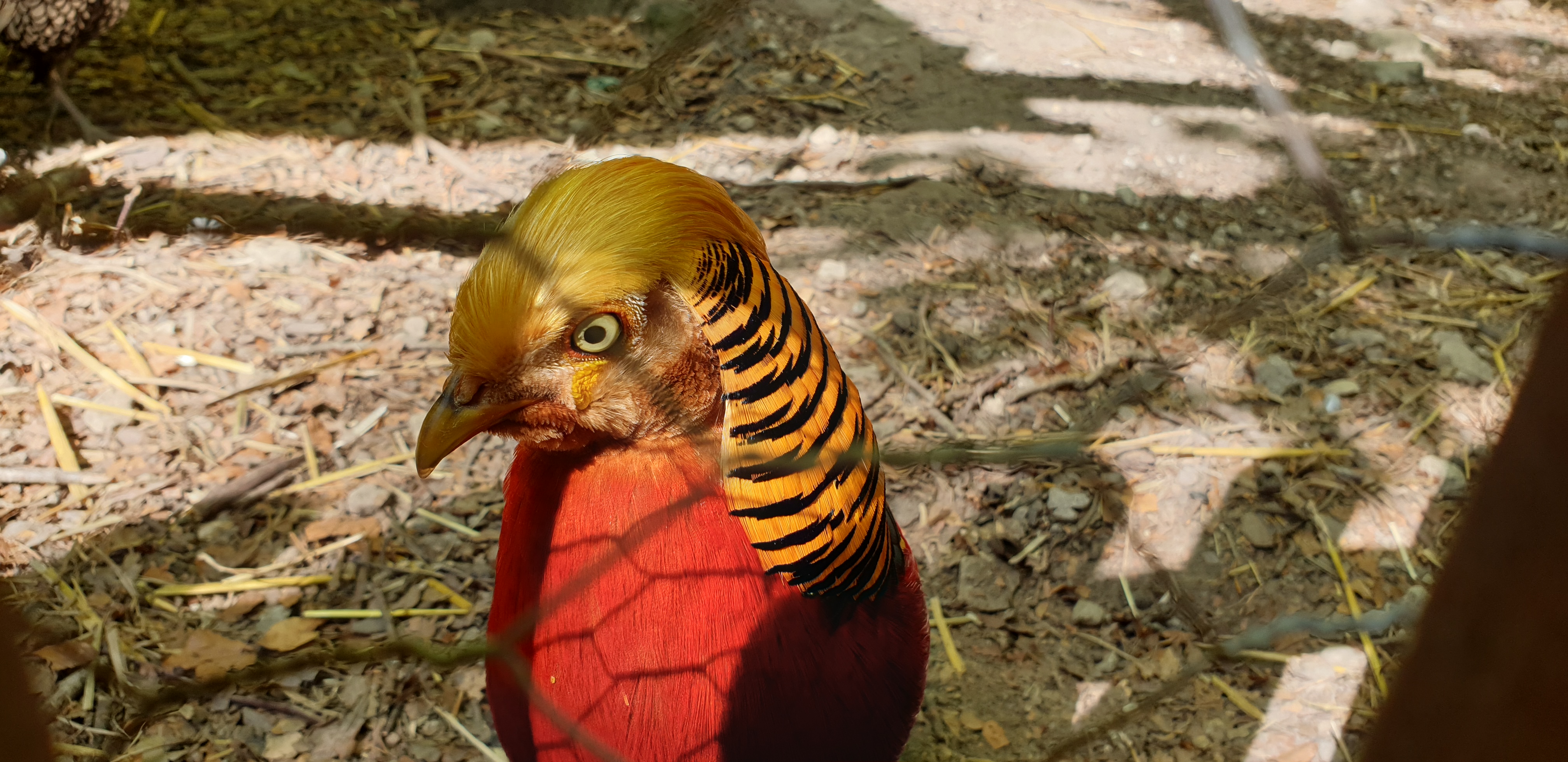 Photo n° 8 de l'avis de Dominique.A fait le 05/05/2022 à 18:02