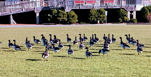 Water Park «Thundering Surf Waterpark», reviews and photos, 300 Taylor Ave, Beach Haven, NJ 08008, USA