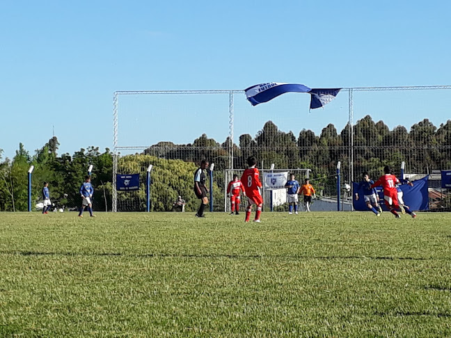 Opiniones de C.A Solis Baby Fútbol en Lavalleja - Campo de fútbol