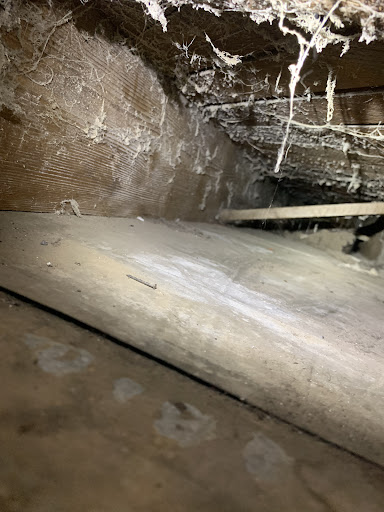 Carpet Cleaning Service «Stanley Steemer of Spokane», reviews and photos, 2710 N Felts Rd, Spokane, WA 99206, USA