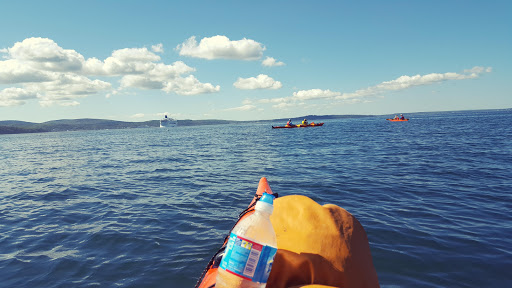 Tourist Information Center «Coastal Kayaking Tours Inc», reviews and photos, 48 Cottage St, Bar Harbor, ME 04609, USA