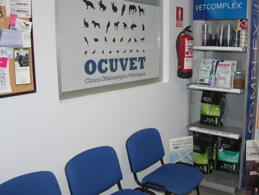 Ocuvet Mauro Hernández Veterinario en Torrelodones