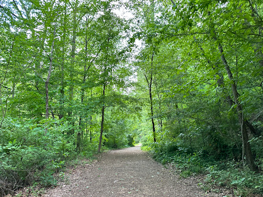 White Oak Mountain Trails